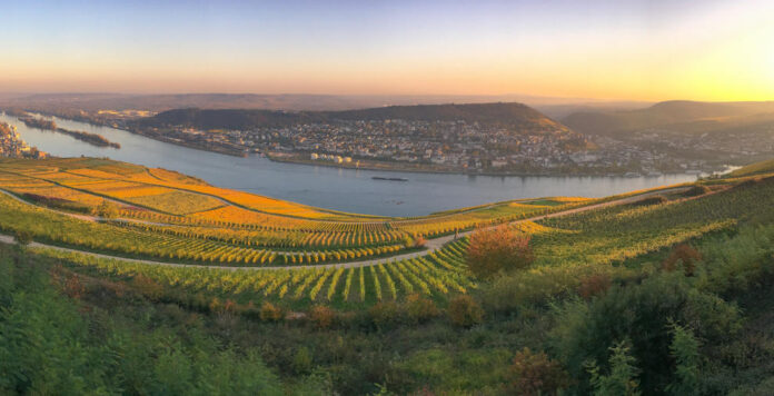 Blick über die Weinberge in Rheinhessen: Den „Spar-Euro“ erhielten jene Kommunen mit den besten Sparbemühungen in Rheinland-Pfalz.